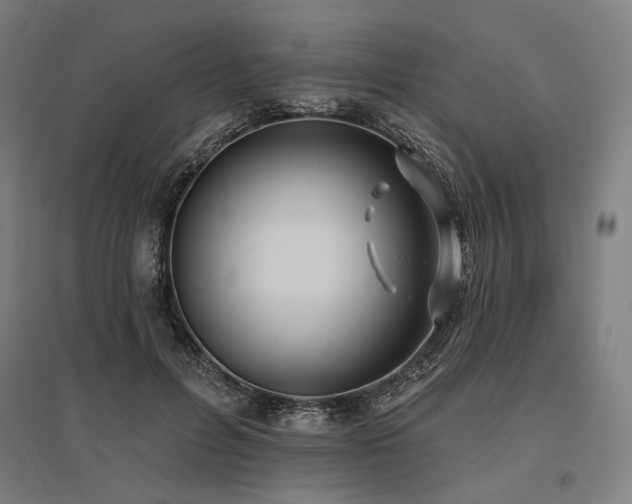 X0000096150600200801181204