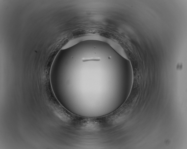 X0000096150601200801181204