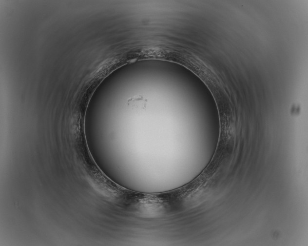 X0000096150603200801181204