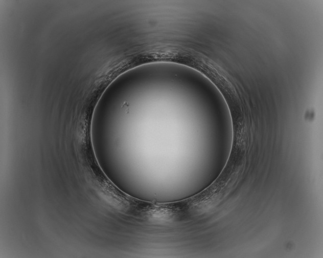 X0000096150604200801181204