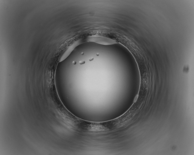 X0000096150605200801181204