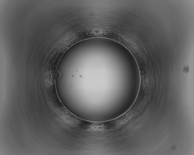 X0000096150606200801181204