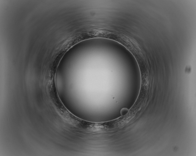 X0000096150607200801181204