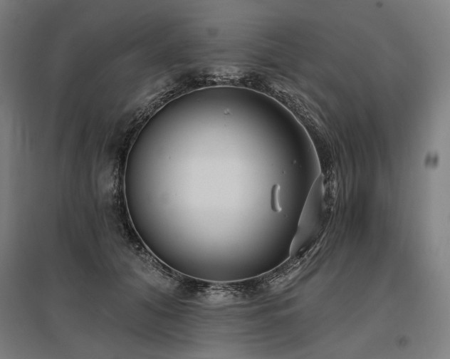 X0000096150608200801181204