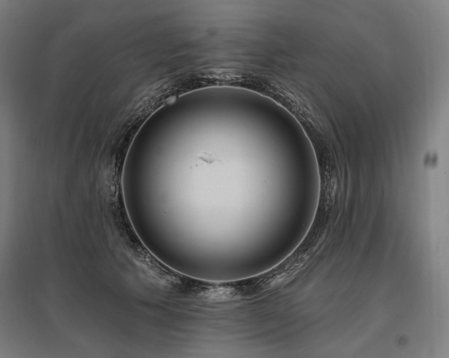 X0000096150609200801181204