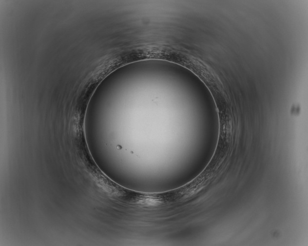 X0000096150610200801181204