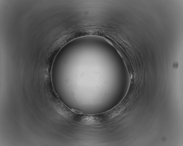 X0000096150611200801181204