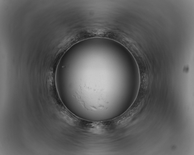 X0000096150612200801181204