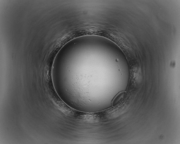 X0000096150615200801181204