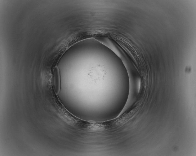 X0000096150617200801181204