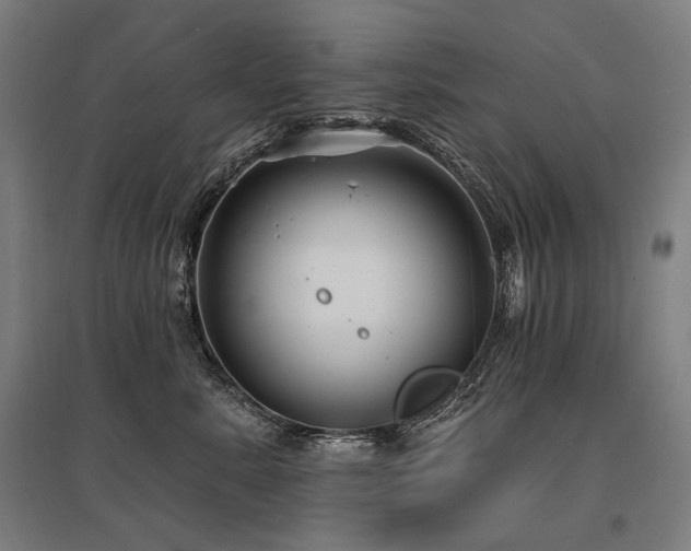 X0000096150619200801181204