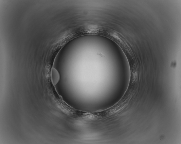 X0000096150620200801181204