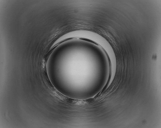 X0000096150621200801181204