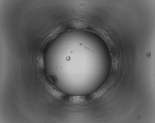 X0000096150622200801181204