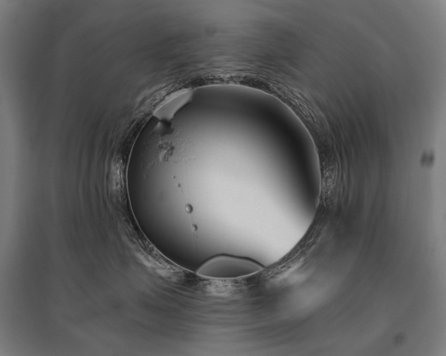 X0000096150623200801181204