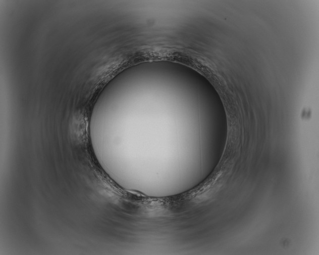 X0000096150624200801181204