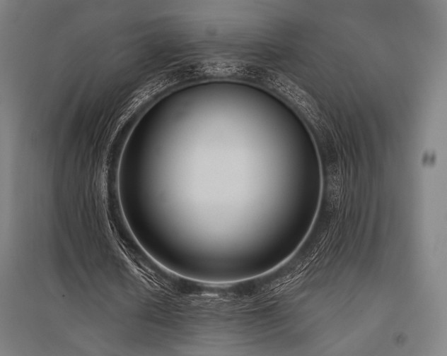 X0000096150626200801181203