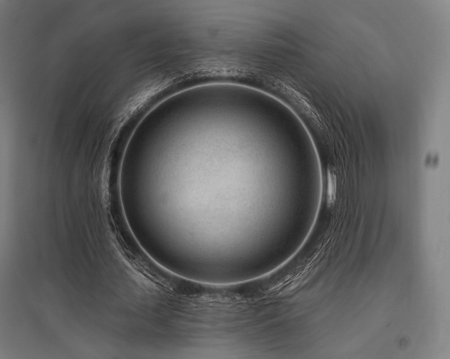 X0000096150627200801181203