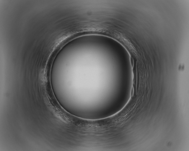 X0000096150628200801181203