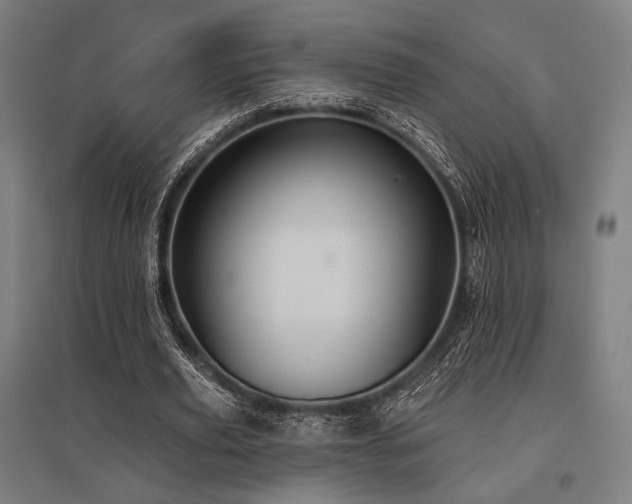 X0000096150629200801181203
