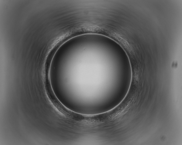X0000096150630200801181203