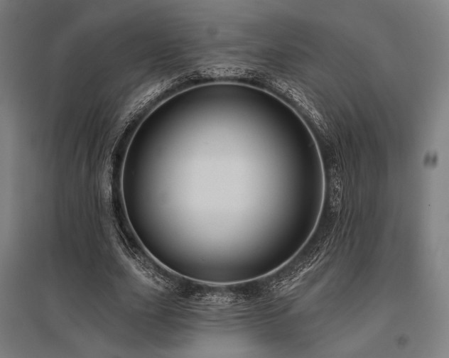 X0000096150631200801181203