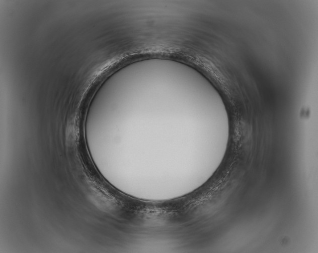 X0000096150632200801181203