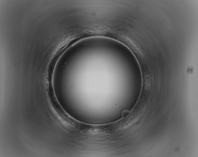 X0000096150634200801181203