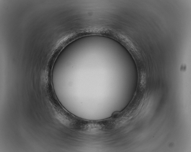 X0000096150636200801181203
