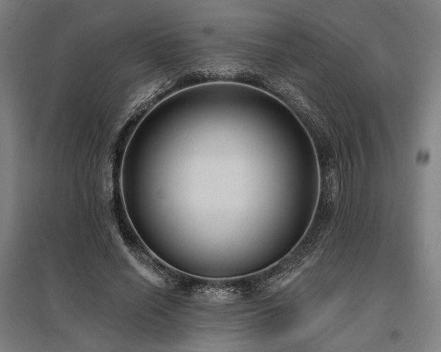 X0000096150638200801181203