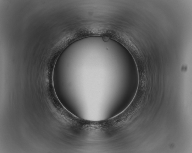 X0000096150639200801181203