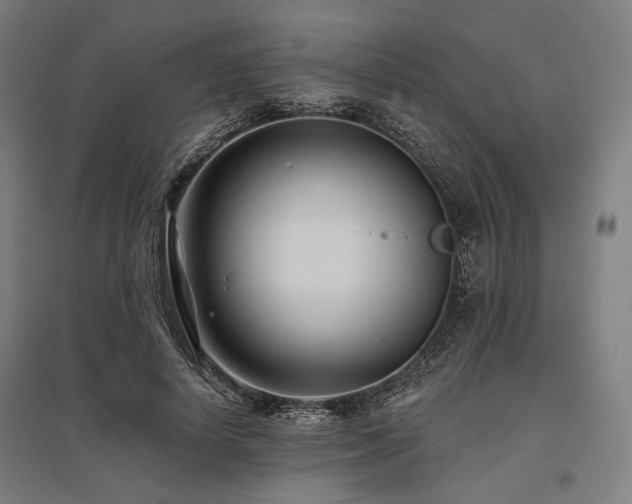 X0000096150642200801181203