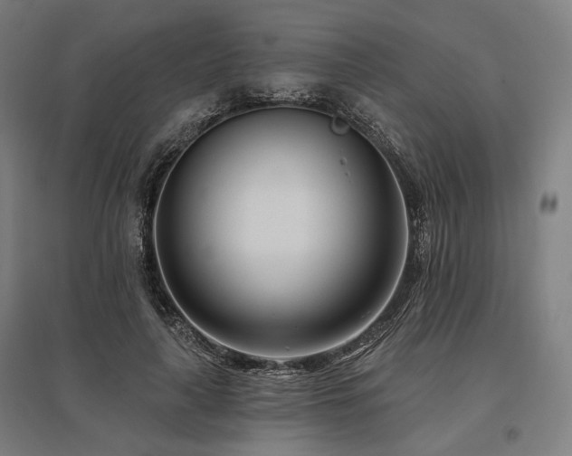 X0000096150643200801181203