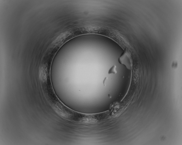 X0000096150644200801181203