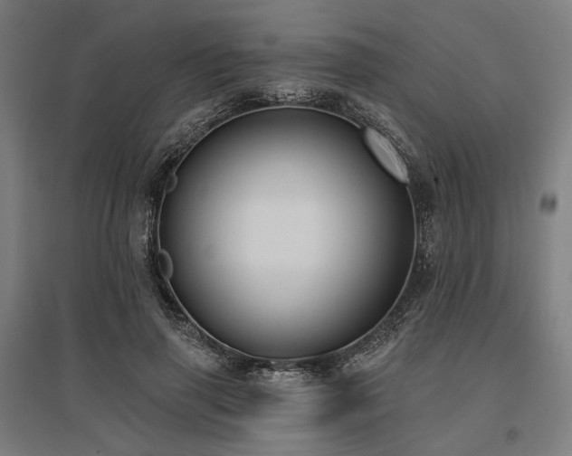 X0000096150645200801181203