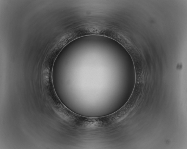 X0000096150646200801181203