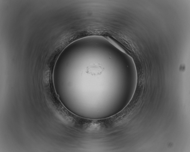 X0000096150647200801181203