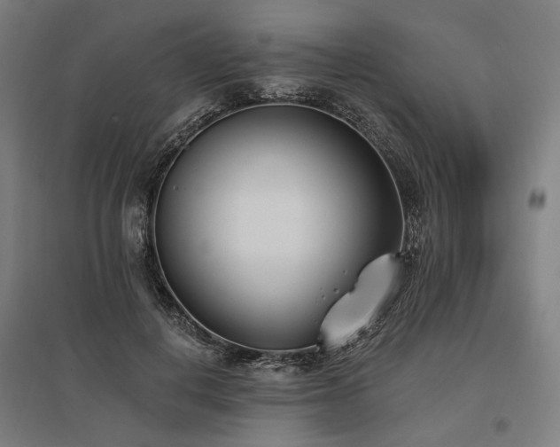 X0000096150648200801181203