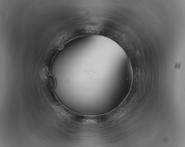 X0000096150649200801181203