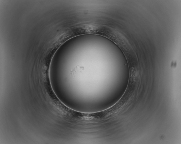 X0000096150650200801181203