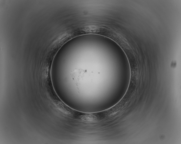 X0000096150652200801181203