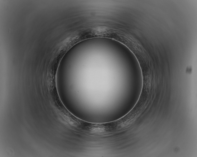 X0000096150653200801181203
