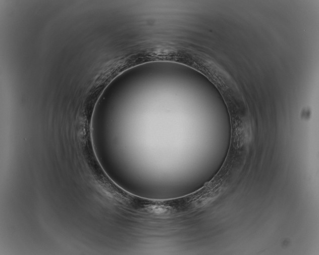 X0000096150654200801181203