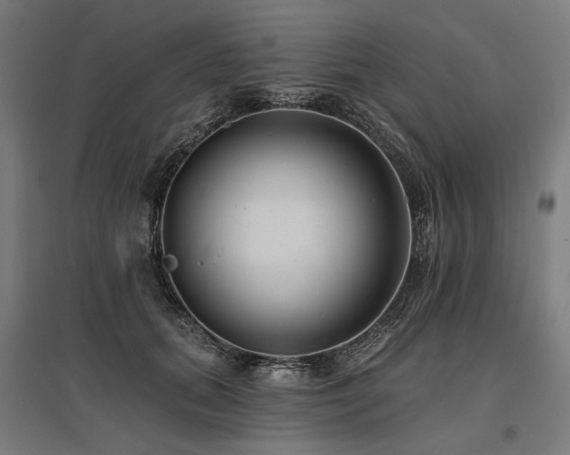 X0000096150655200801181203