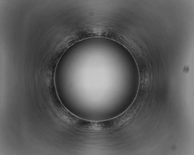 X0000096150656200801181203