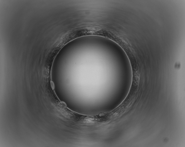 X0000096150657200801181203