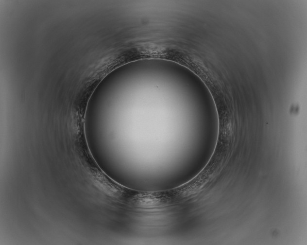 X0000096150658200801181203