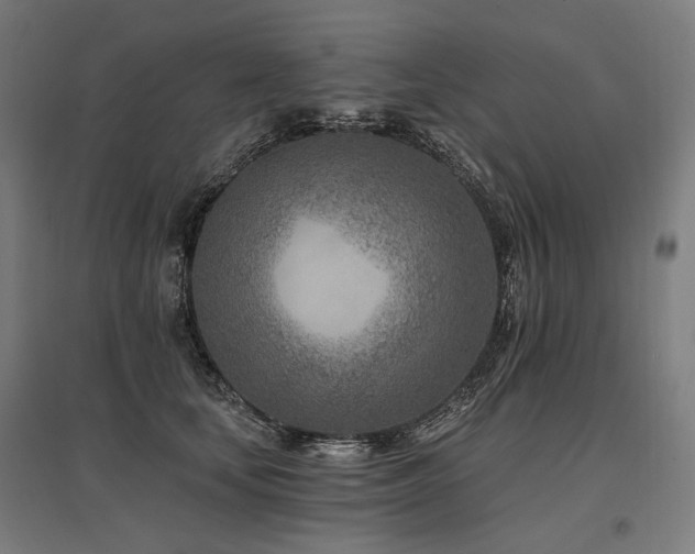 X0000096150659200801181203