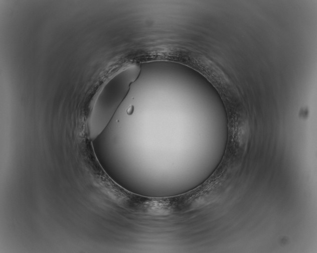 X0000096150660200801181203