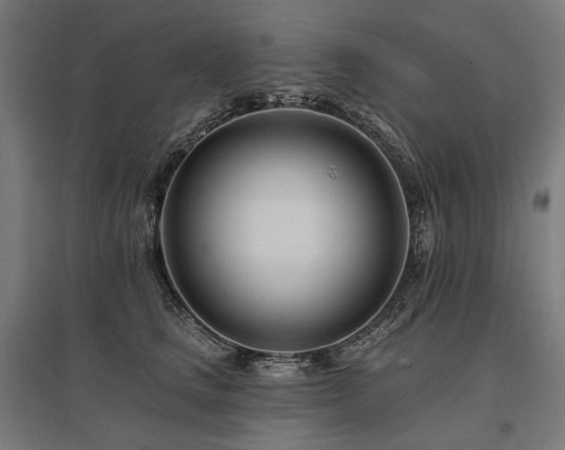 X0000096150661200801181203